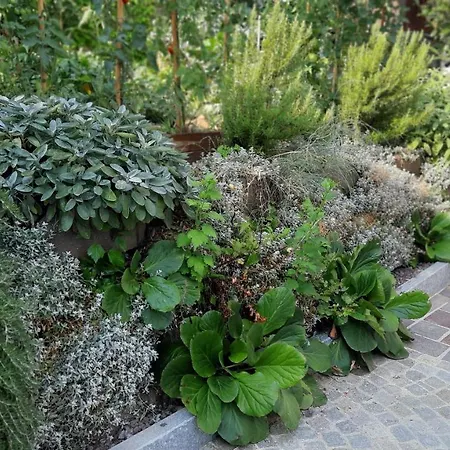 Ai Tre Cavalli Cherasco