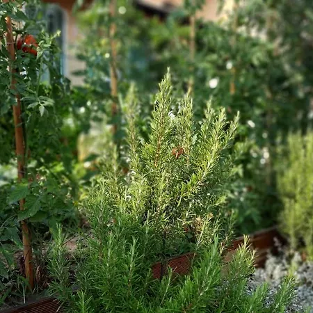 Ai Tre Cavalli Bed & Breakfast Cherasco