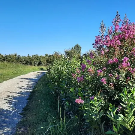 三匹马住宿加早餐旅馆 3* 凯拉斯科