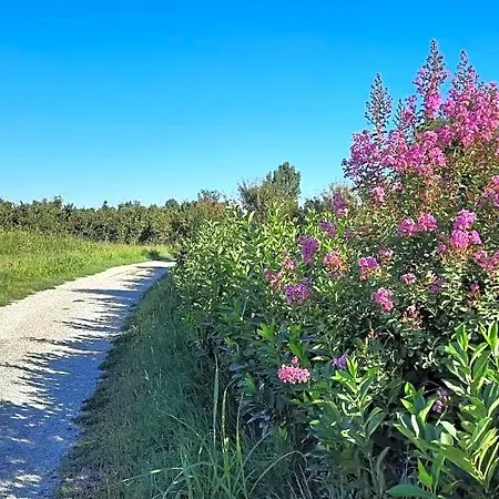 Bed & Breakfast Ai Tre Cavalli Cherasco